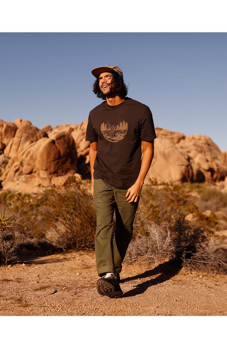 tentree Regenerative Lake Life Portal T-Shirt, Alternate, color, Graphite/Clay