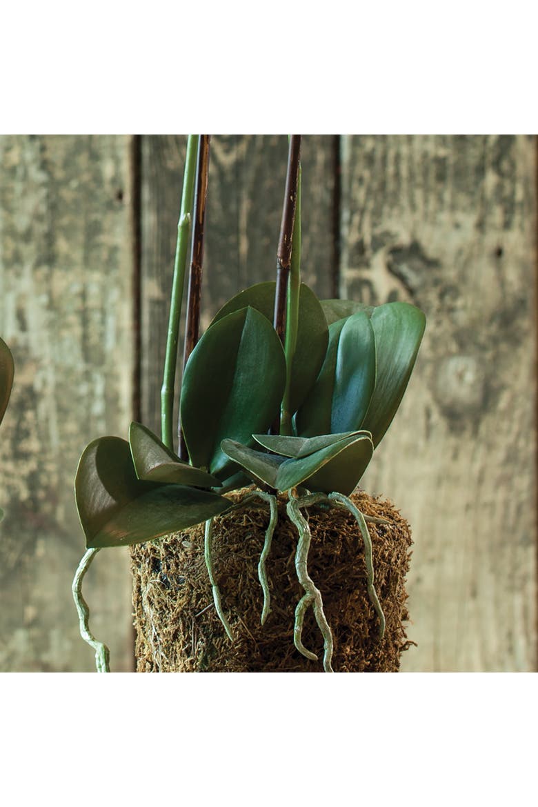 23" Phalaenopsis Orchid Drop-In Flower Floral Plant Root Ball Tabletop Decor, Alternate, color, White