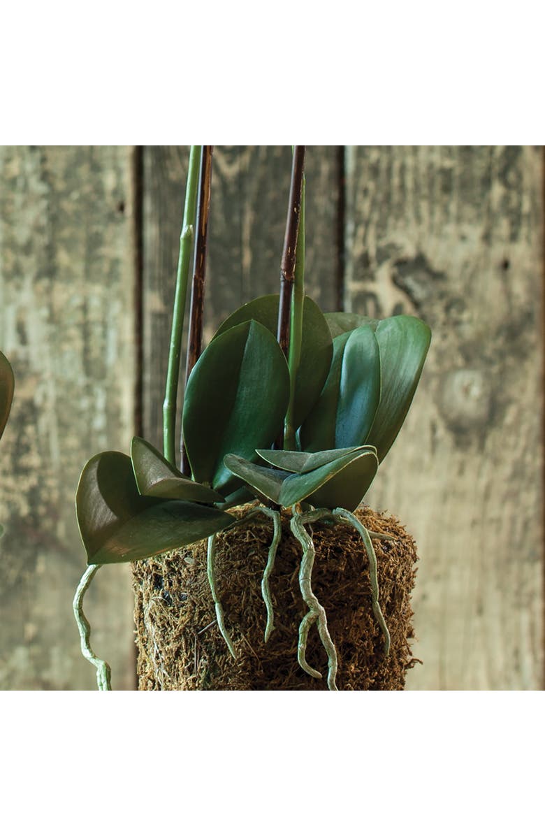 Napa Home & Garden 23" Phalaenopsis Orchid Drop-In Flower Floral Plant Root Ball Tabletop Decor, Alternate, color, White