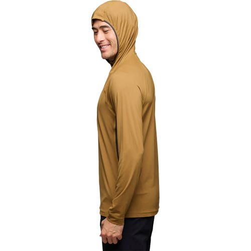 Black Diamond Alpenglow Pro Hoodie In Multi
