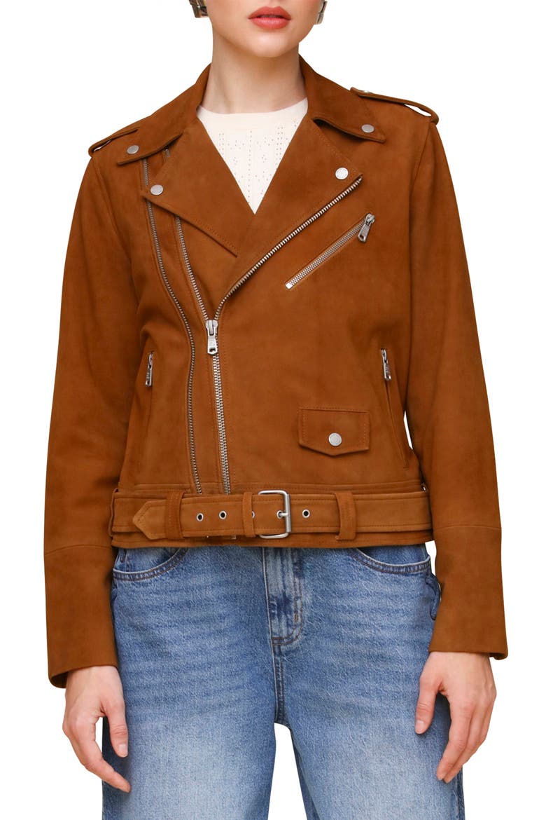 Belted Suede Moto Jacket, Alternate, color, CAMEL