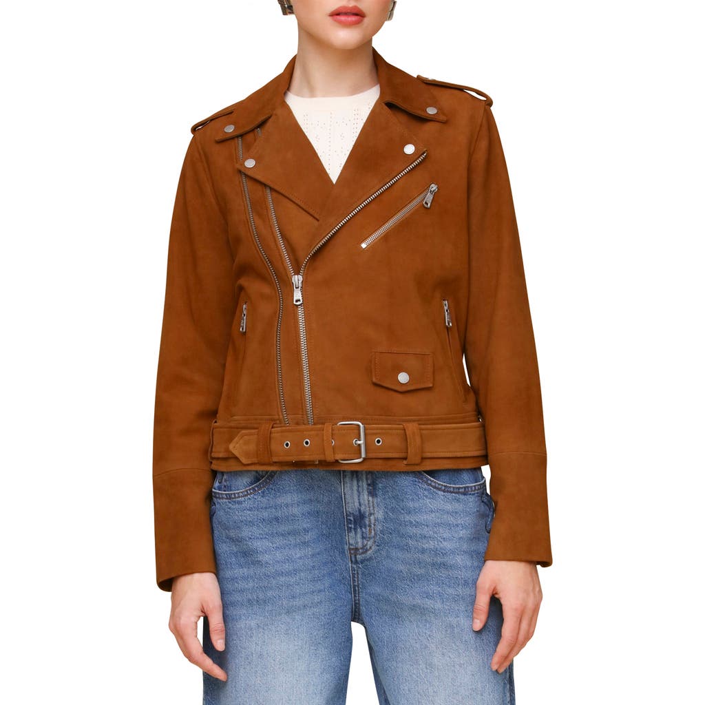 Avec Les Filles Belted Suede Moto Jacket In Camel