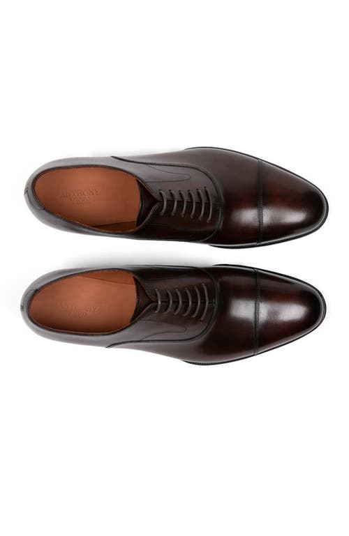 Anthony Veer Regent Cap-toe Oxford In Vintage Amber Tan