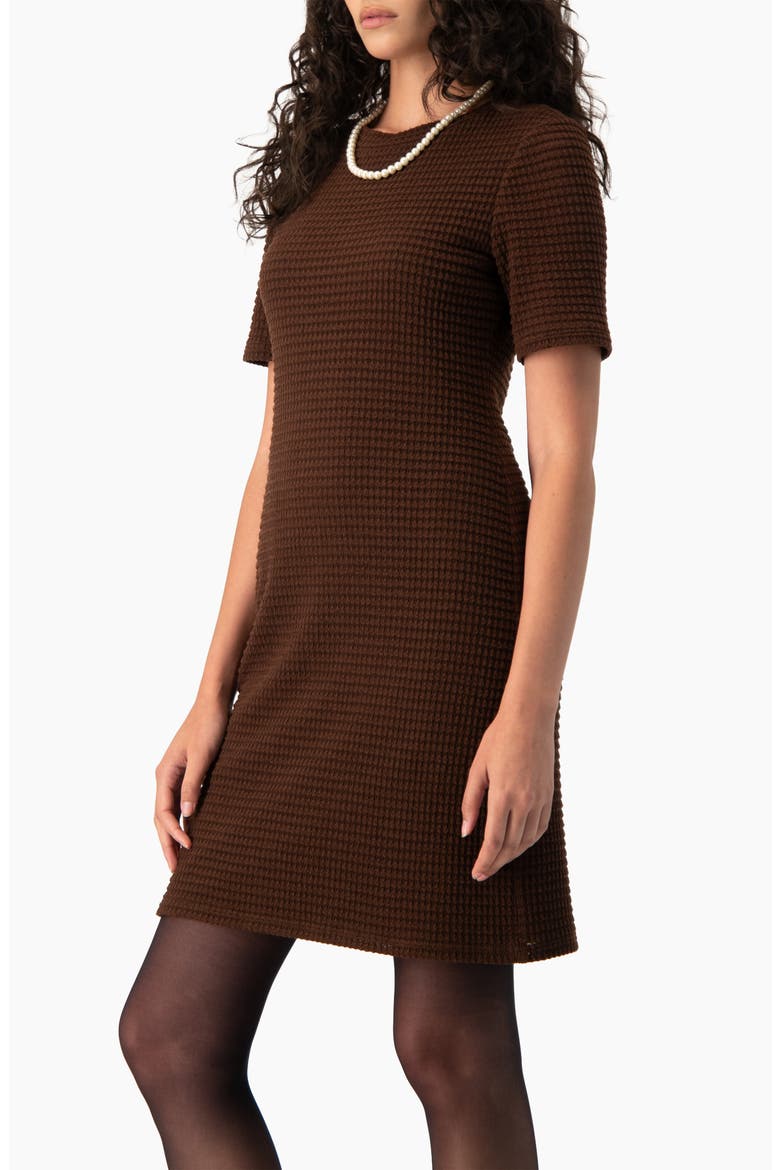 Textured Waffle-Knit Shift Short-Sleeve Mini Dress, Alternate, color, Brown