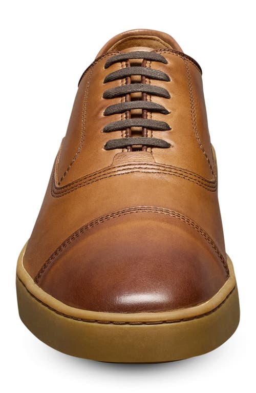Allen Edmonds Park 2.0 Sneaker In Walnut