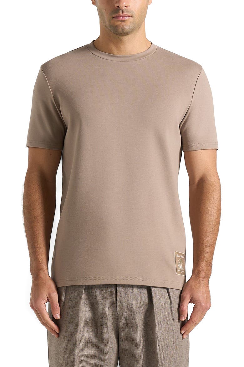 Regular Fit Cotton T-Shirt, Main, color, Taupe