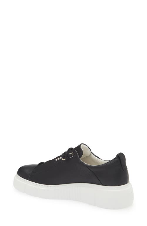 Paul Green Abbey Sneaker In Black Leather