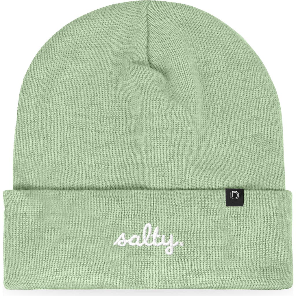 Dalix Salty Beanie Cap In Green