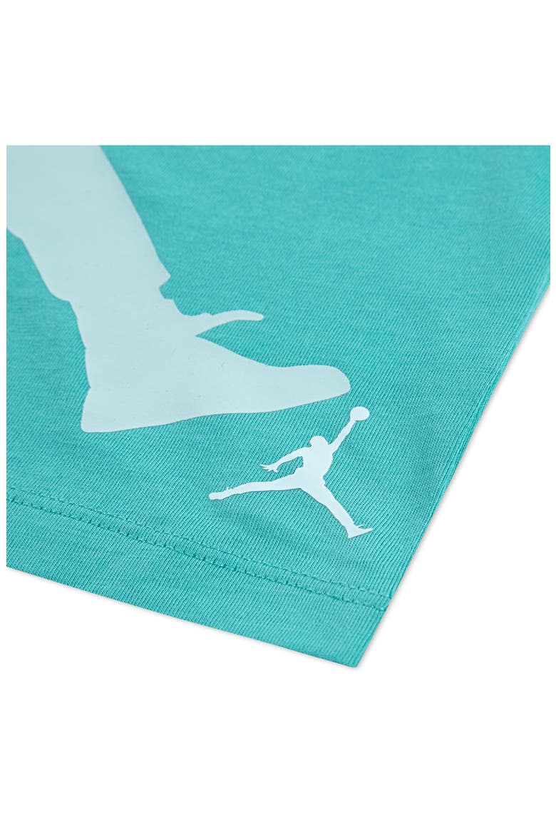 Hidden in Plain Sight Jordan Crewneck Tee, Alternate, color, WASHED TEAL