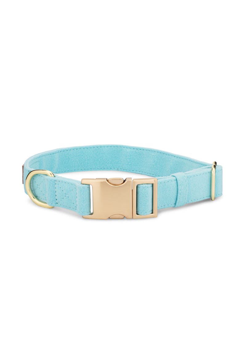 Perry Dog Collar, Main, color, Perry