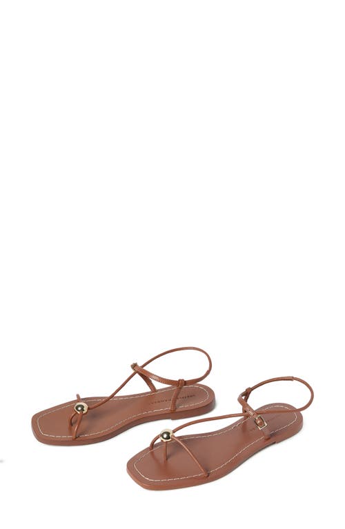 Loeffler Randall Lara Ankle Strap Sandal In Timber