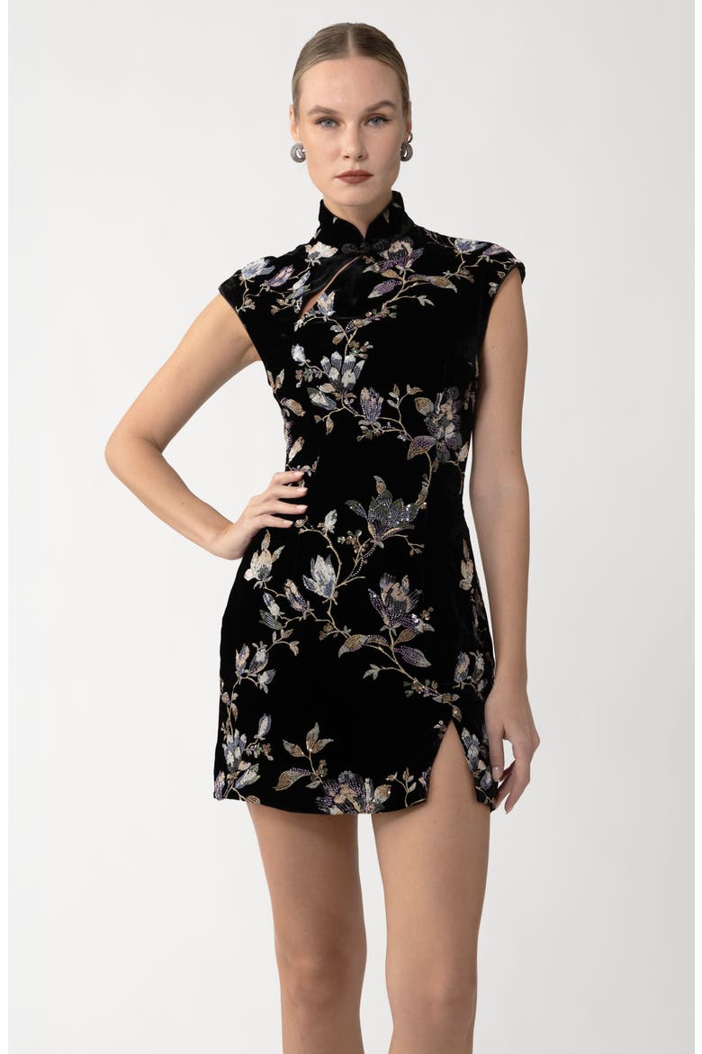 Devon Embellished Velvet Cocktail Minidress, Alternate, color, BLACK