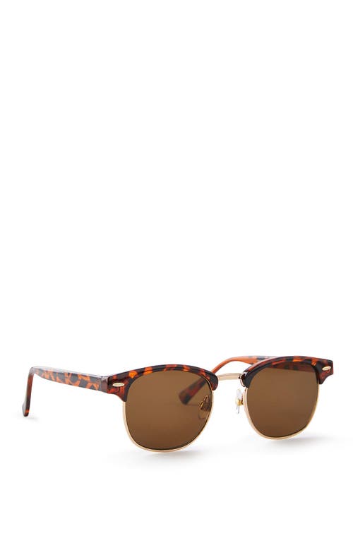 Cotton On The Member Sunglasses In Brown