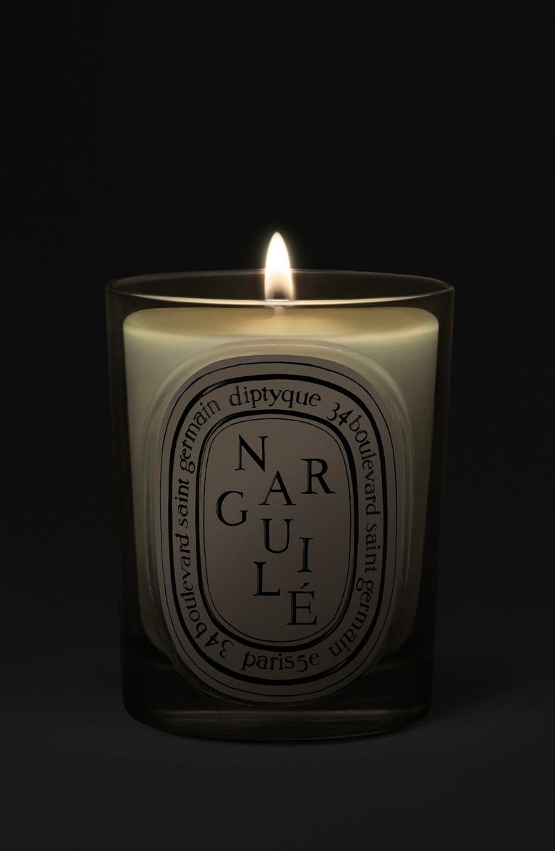 Diptyque Narguilé Classic Candle, Alternate, color, 