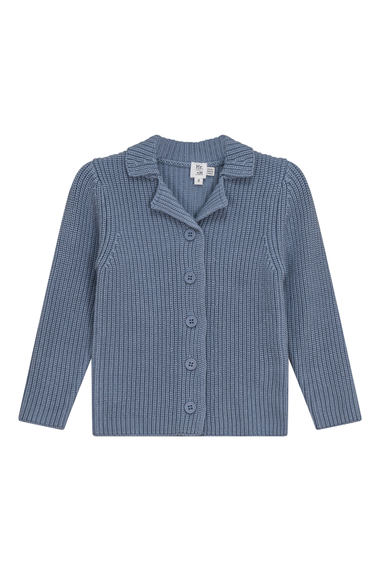 Long Sleeve Knit Button Up Sweater, Main, color, Blue Grey