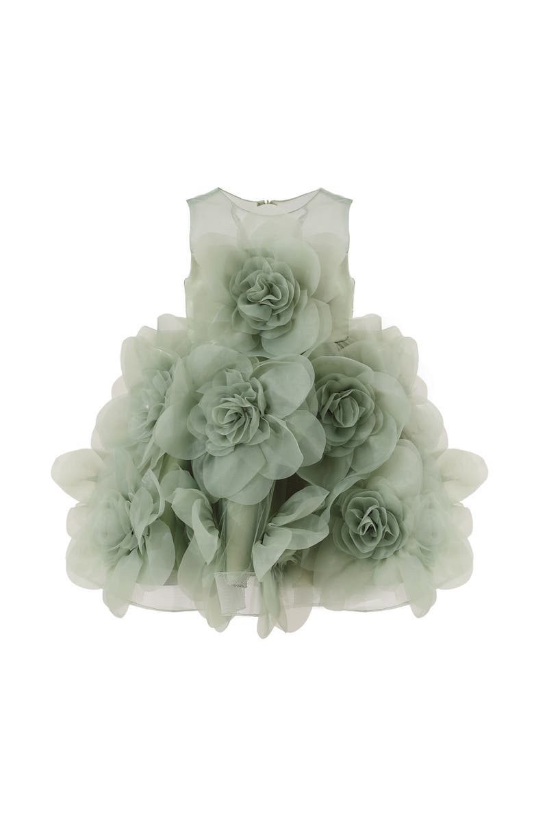 Tulleen Floral Blooming Flowers Dress, Main, color, Green