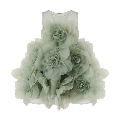 Floral Blooming Flowers Dress (Toddler & Little Kid)