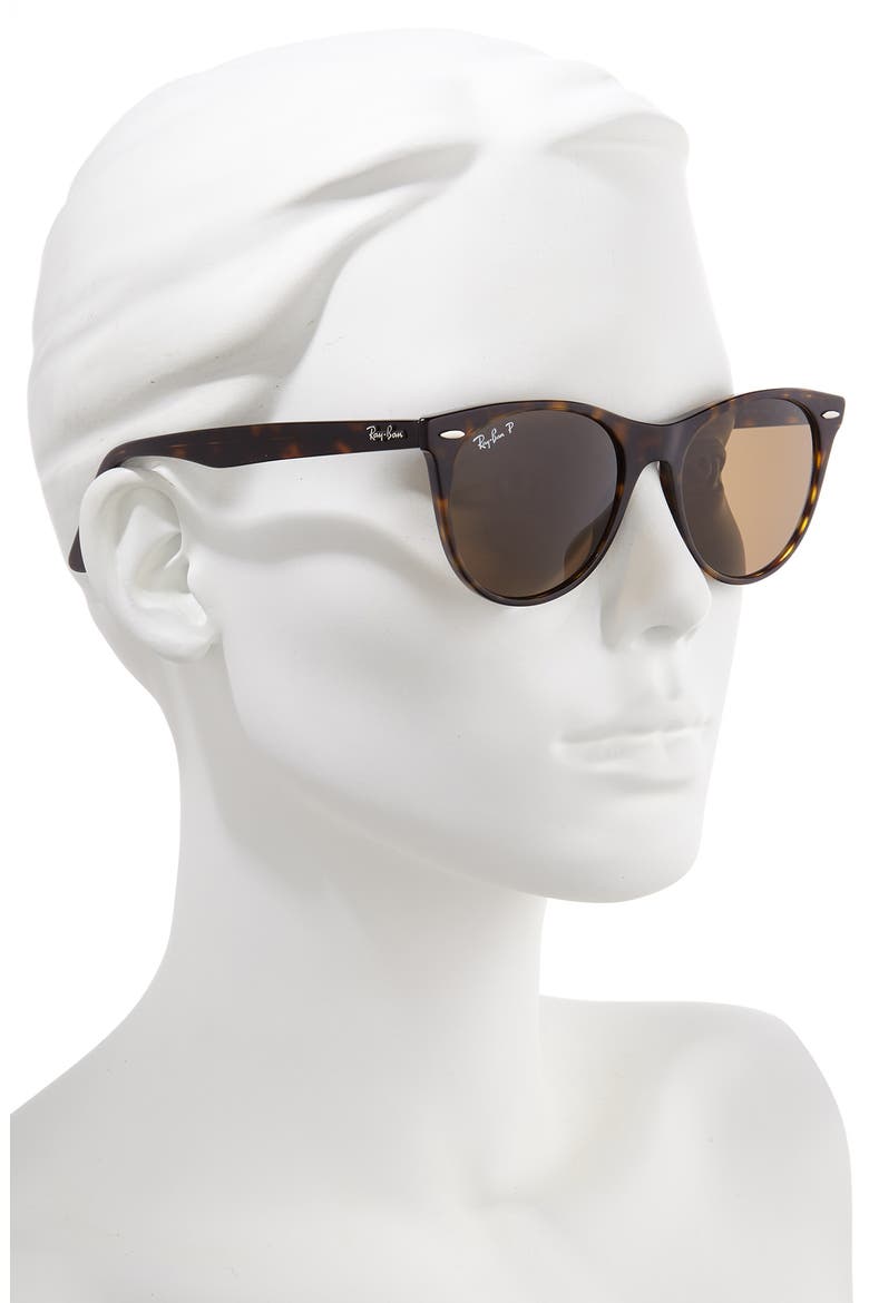 Wayfarer II 55mm Sunglasses, Alternate, color, STRIPED HAVANA SOLID