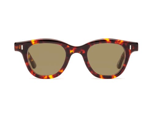 Caddis Wabi Sabi | Polarized Sunglasses