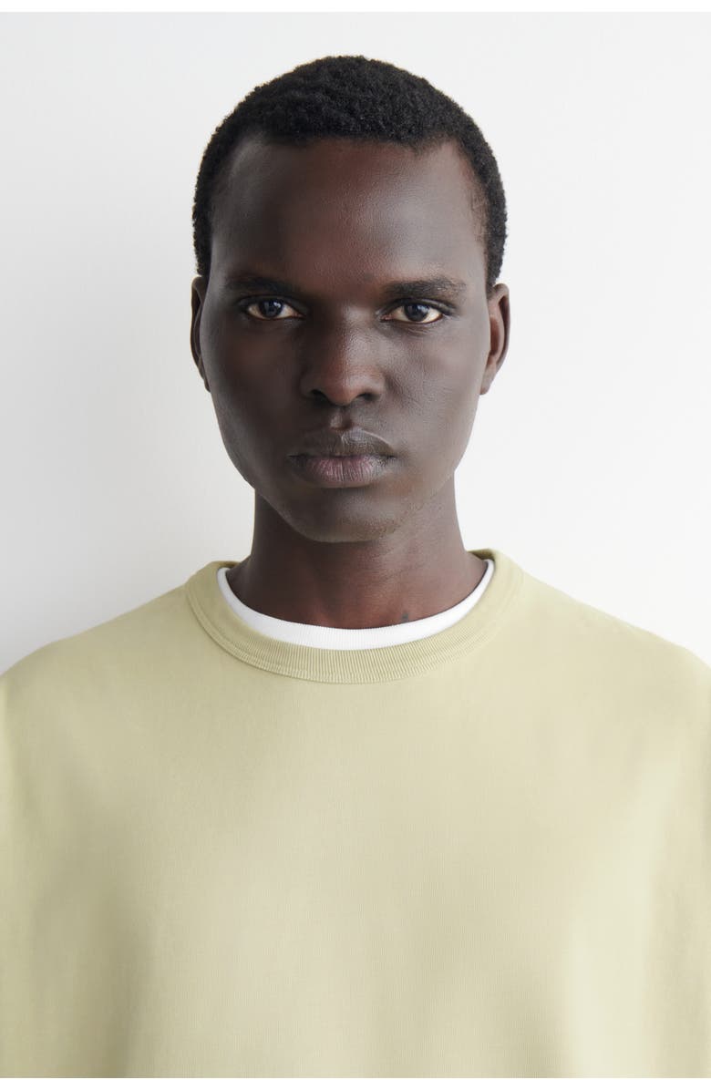 COS Relaxed Garment-washed Cotton T-shirt, Alternate, color, Washed Green