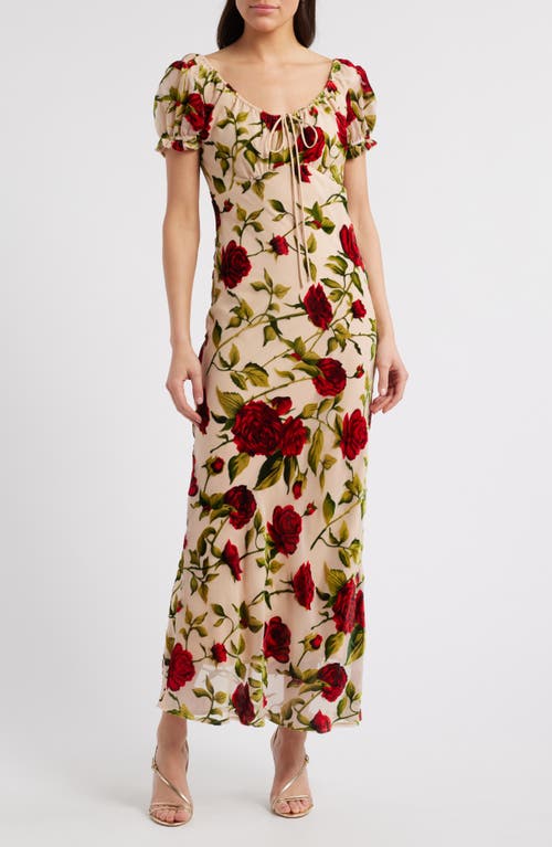 Rare London Rose Devoré Maxi Dress In Beige Multi