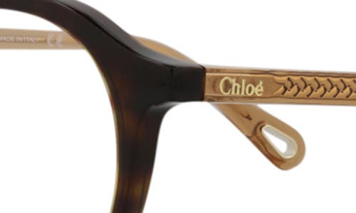 Chloé Core 50mm Round Optical Glasses In Havana Brown Transparent