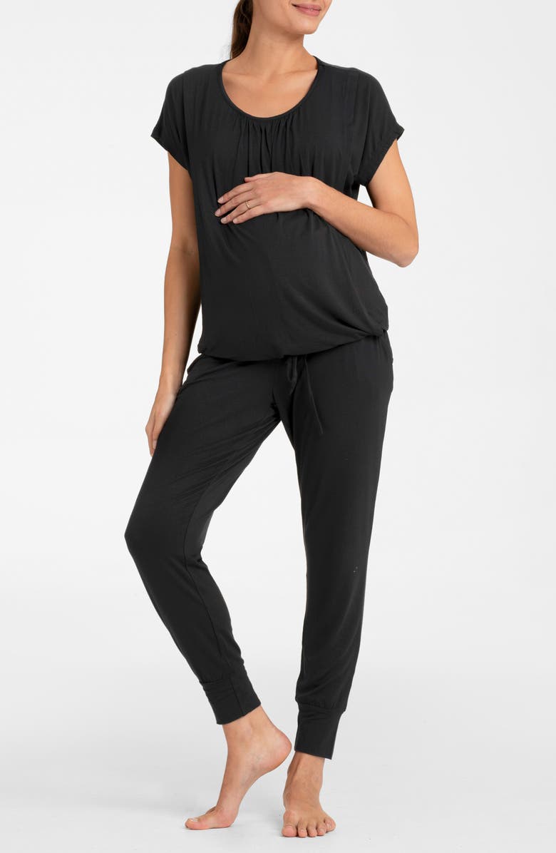 Seraphine Short Sleeve Maternity/Nursing Longewear Set, Main, color, 