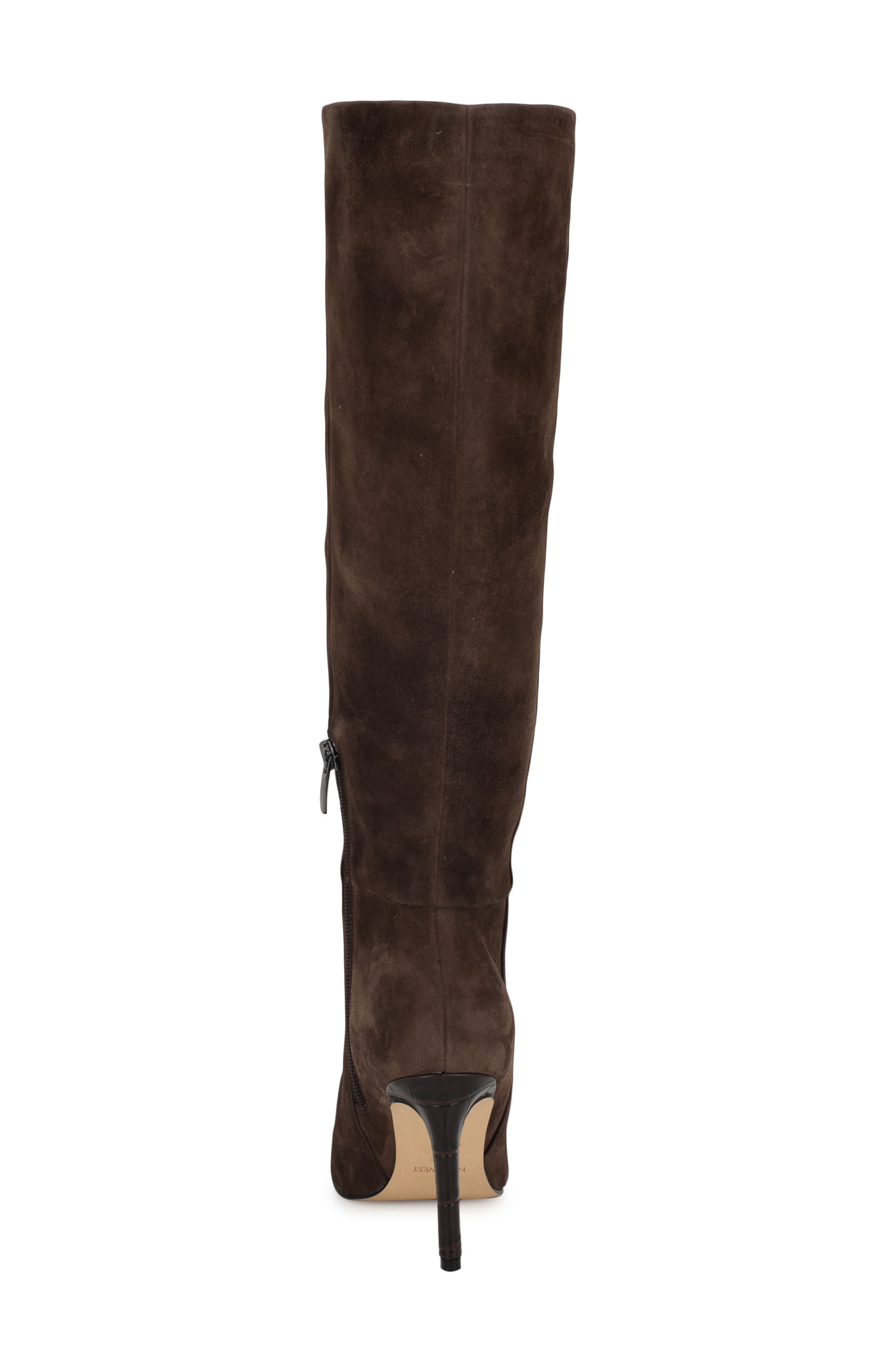 Nine West Richy Pointed Toe Knee High Boot, Alternate, color, Dark Brown