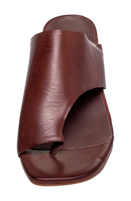 Antelope Afton Toe Loop Leather Dress Sandal In Coffee