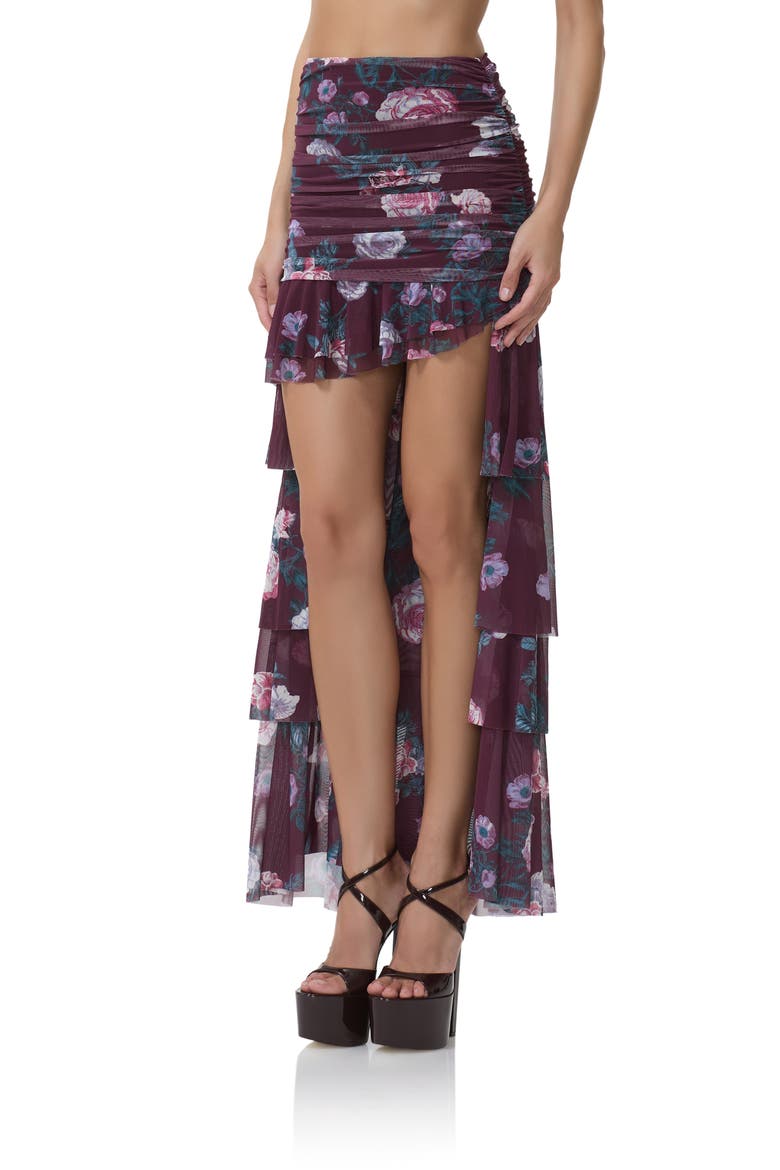 Zarin Floral High-Low Mesh Skirt, Alternate, color, CABERNET BOUQUET