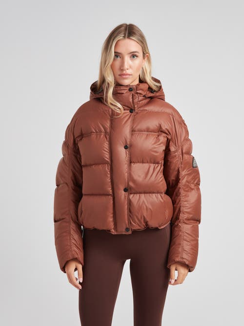 Jack1t Cloud Boss Hooded Puffer Jacket In Brown