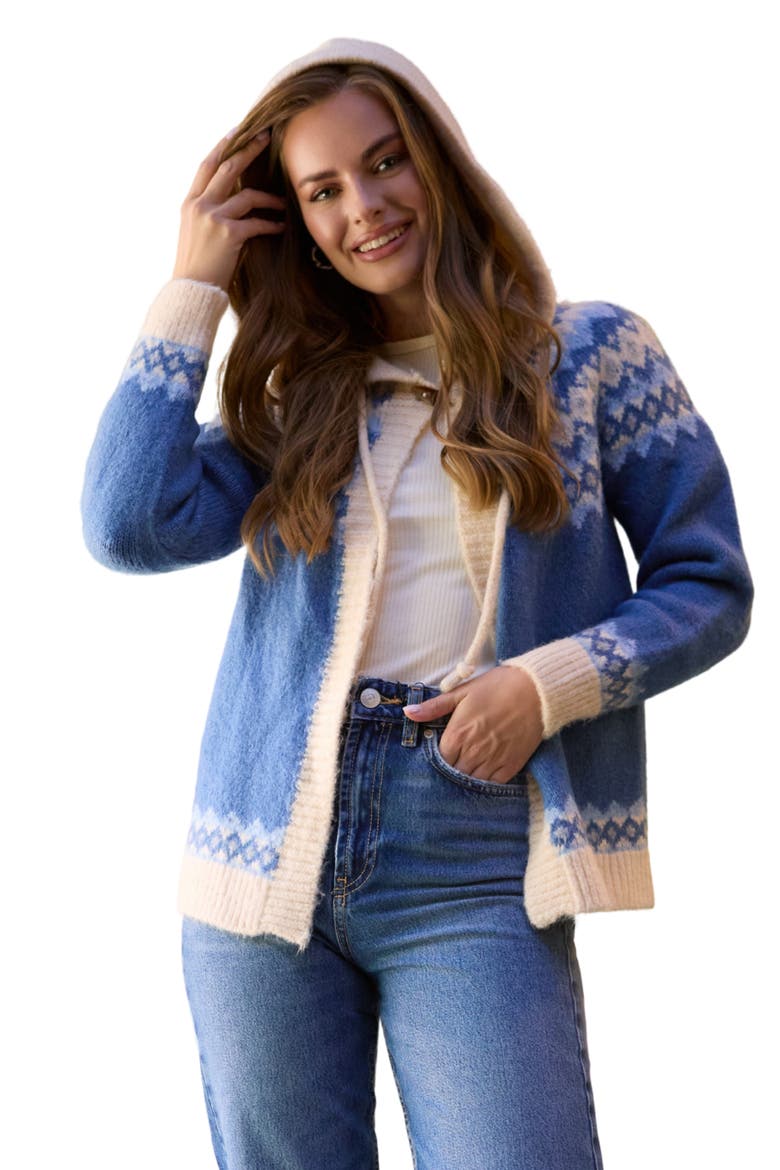 Fait Isle Hooded Cardigan, Alternate, color, BLUE