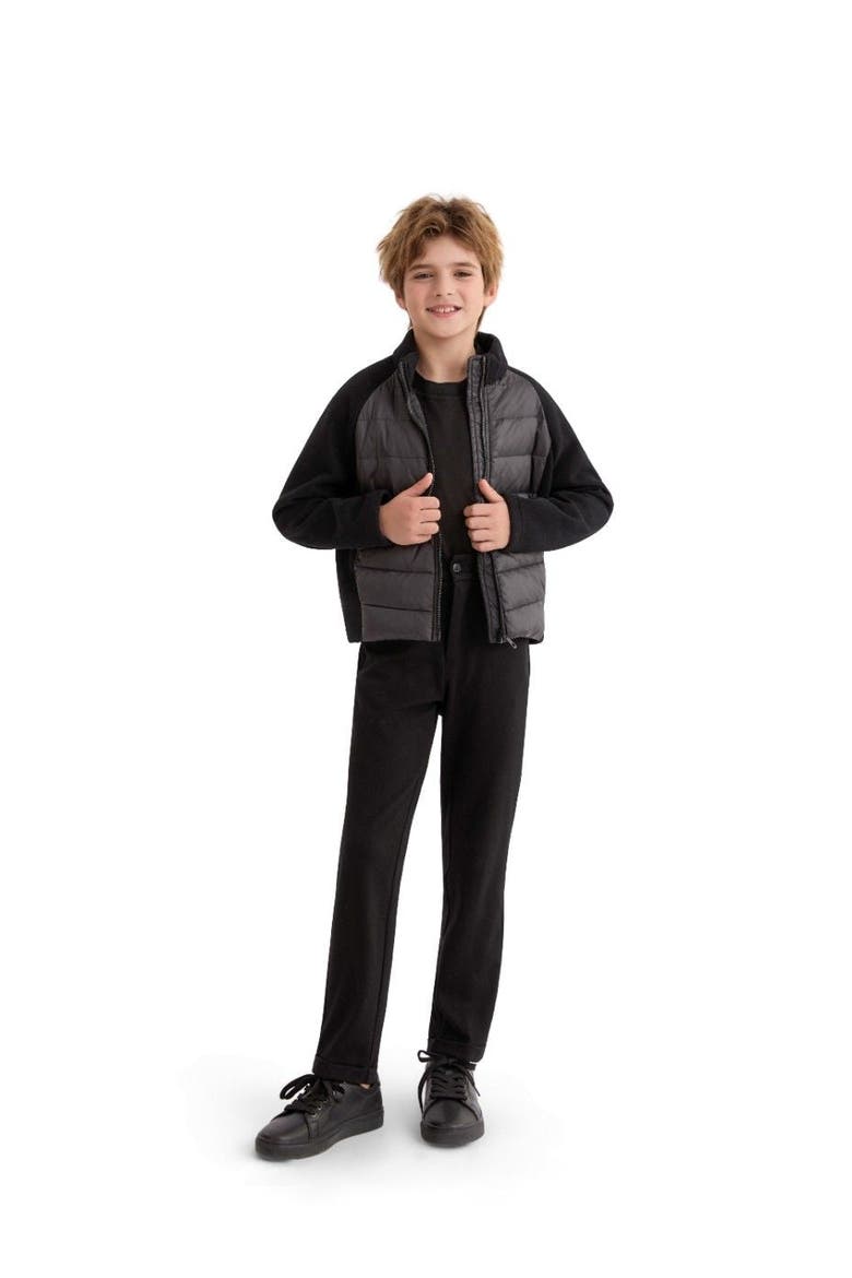 Quilted Zip Jacket, Alternate, color, Black
