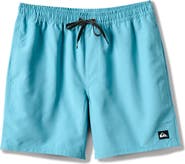 Quiksilver Everyday 17" Solid Stretch Swim Trunks