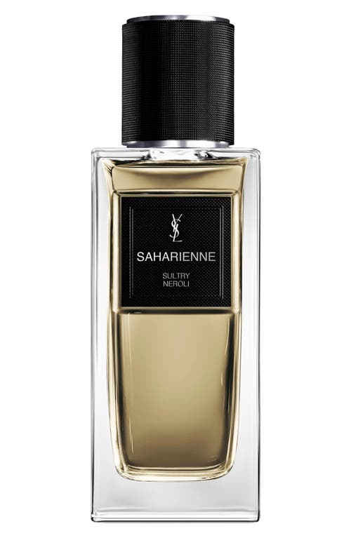 Saint Laurent Yves Saharienne In Transparent