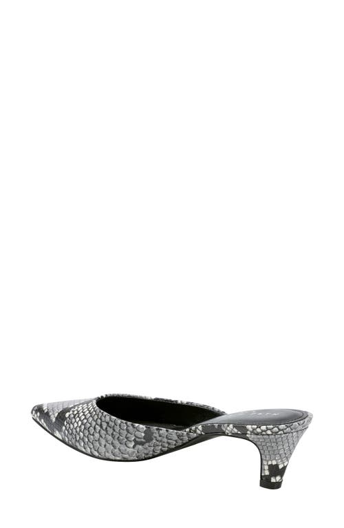 Marc Fisher Ltd Women's Rosa 2 Pointed Toe Embossed Kitten Heel Slide Pumps In Light Natural 110