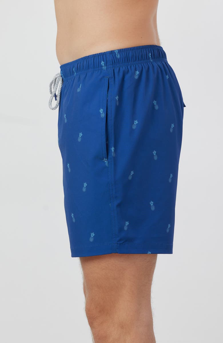 Rainforest Pineapple Swim Trunks, Alternate, color, 