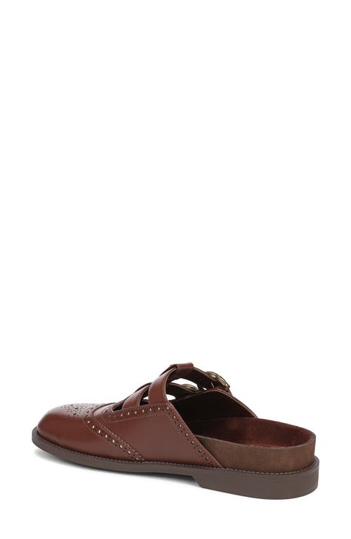 Circus Ny By Sam Edelman Claudia Mule In Brown