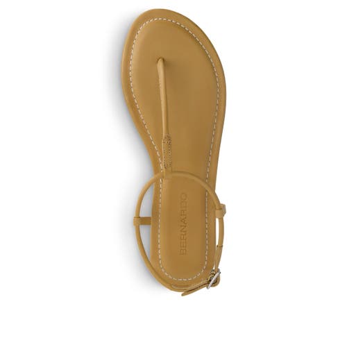 BERNARDO FOOTWEAR BERNARDO FOOTWEAR HERCU T-STRAP SANDAL 
