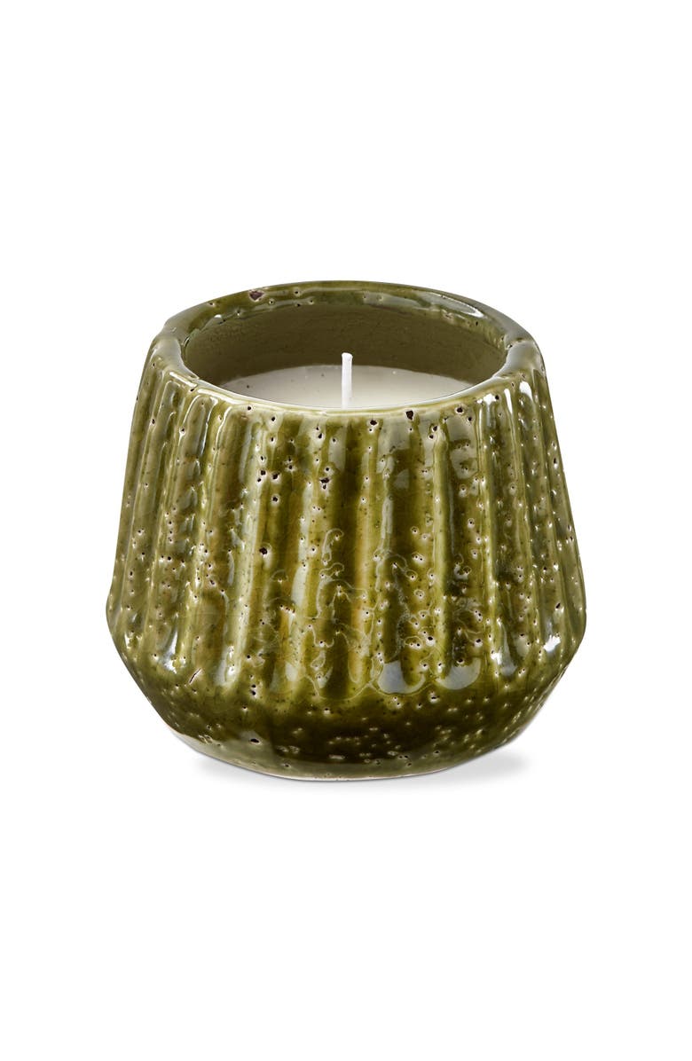 tag Santa Cruz Citronella Scented Candle in Terra Cotta Pot, Main, color, Green