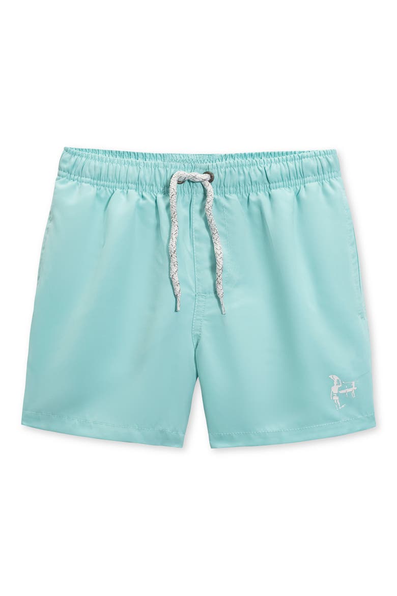 Kids' Volley Swim Trunks, Main, color, TEAL