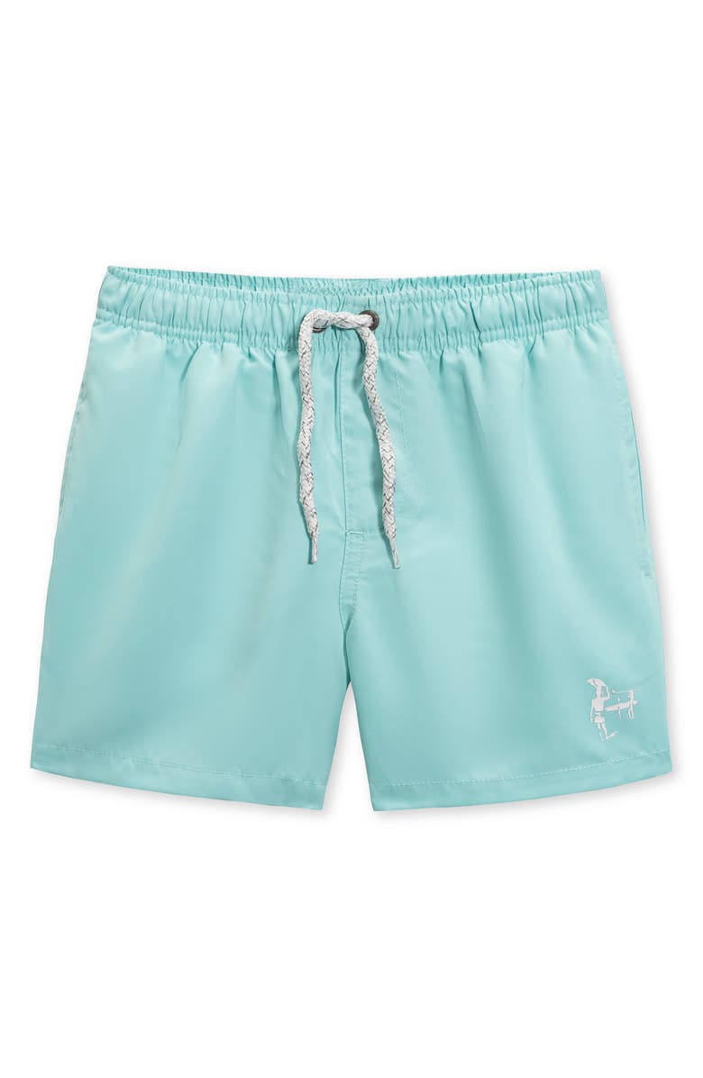 THE ENDLESS SUMMER Kids' Volley Swim Trunks, Main, color, Teal