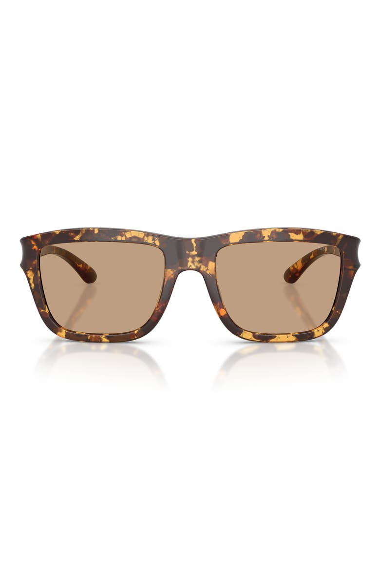 55mm Gradient Square Sunglasses, Main, color, HAVANA/ SOLID BROWN