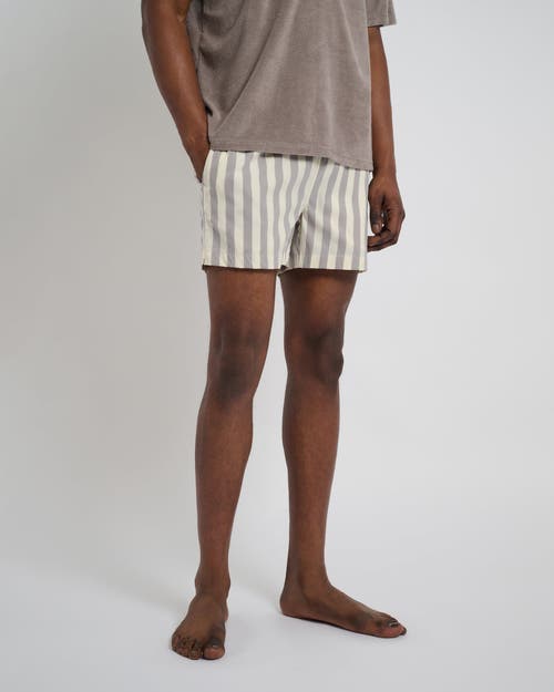 Onia Charles 4" Swim Trunk In Cinder/cream