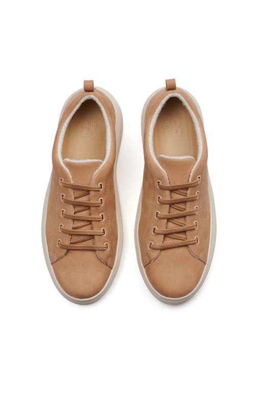 Abeo Jumpstreet Bungee Sneaker In Sand Shimmer - Regular