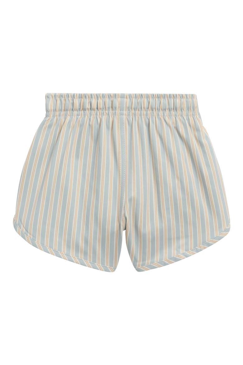 Kids' Blue N Butters Stripe Swim Shorts, Alternate, color, BLUE