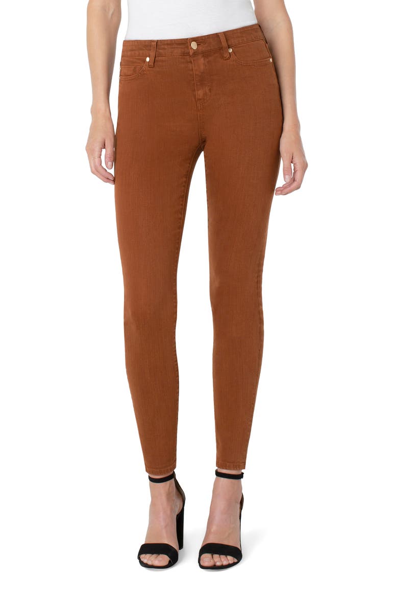 Abby Skinny Pants, Main, color, CINNAMON
