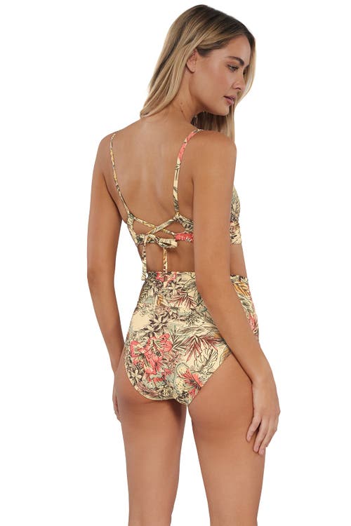Sunsets Hannah High Waist Bikini Swim Bottoms In Island Spice