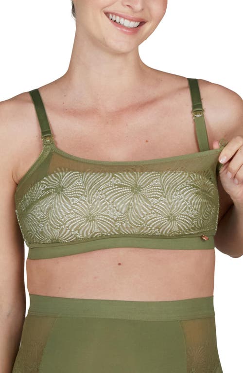 Cache Coeur Dahlia Underwired Maternity And Nursing Bra In Green