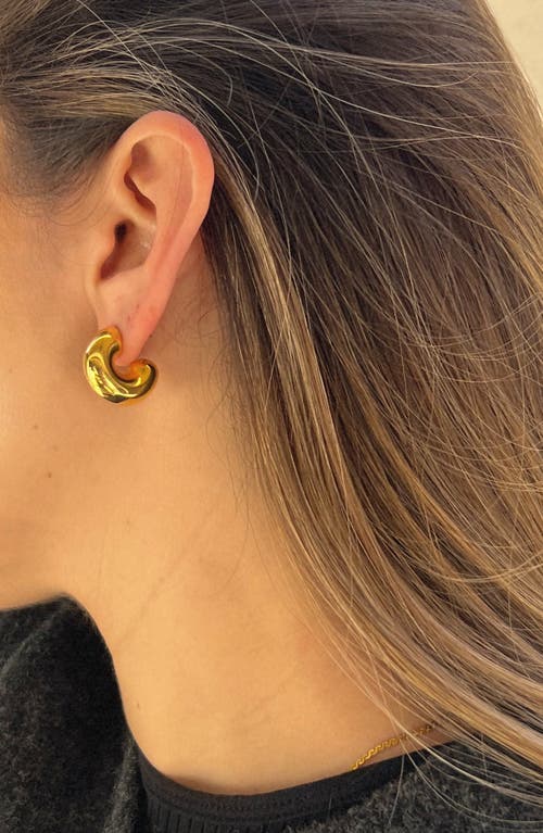 Joiana Jewelry The Perfect Hoops Earrings In Gold
